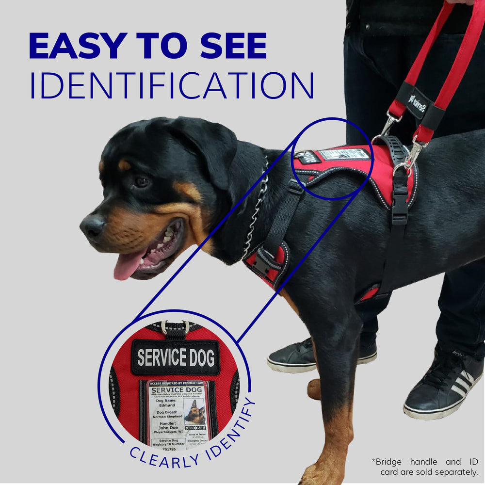 ActiveDogs parches de servicio refuerzan la identificación y propósito del uso.