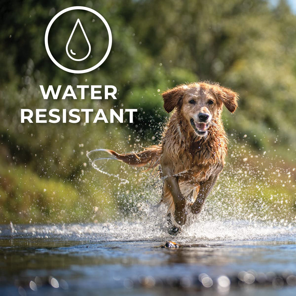 ACTIVPHY dos tallas ajustables para perros de distintos tamaños