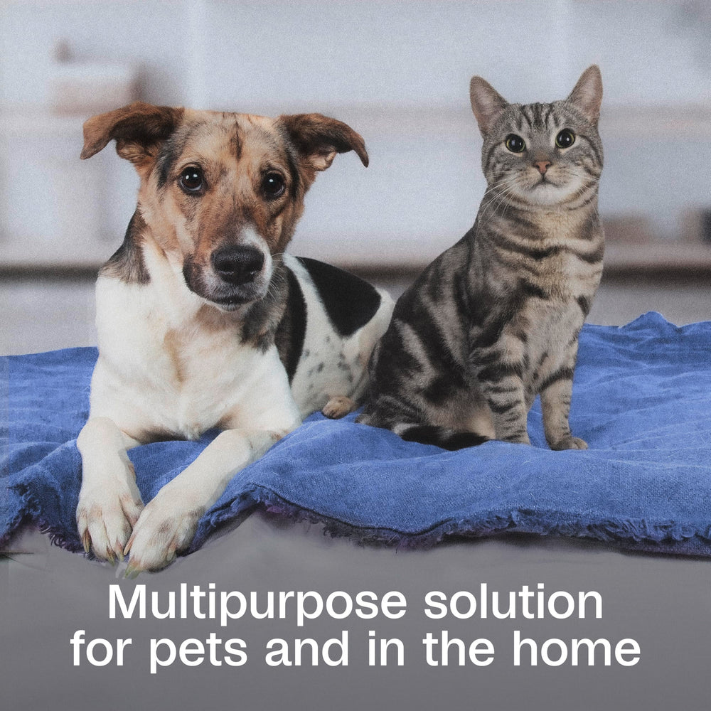 Aplicación en gato con ADAMS Botanicals para control de pulgas y garrapatas.