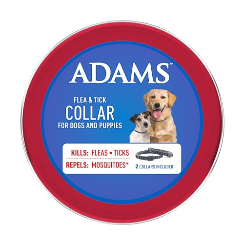 ADAMS collar en patio, protección durante paseos y juegos.