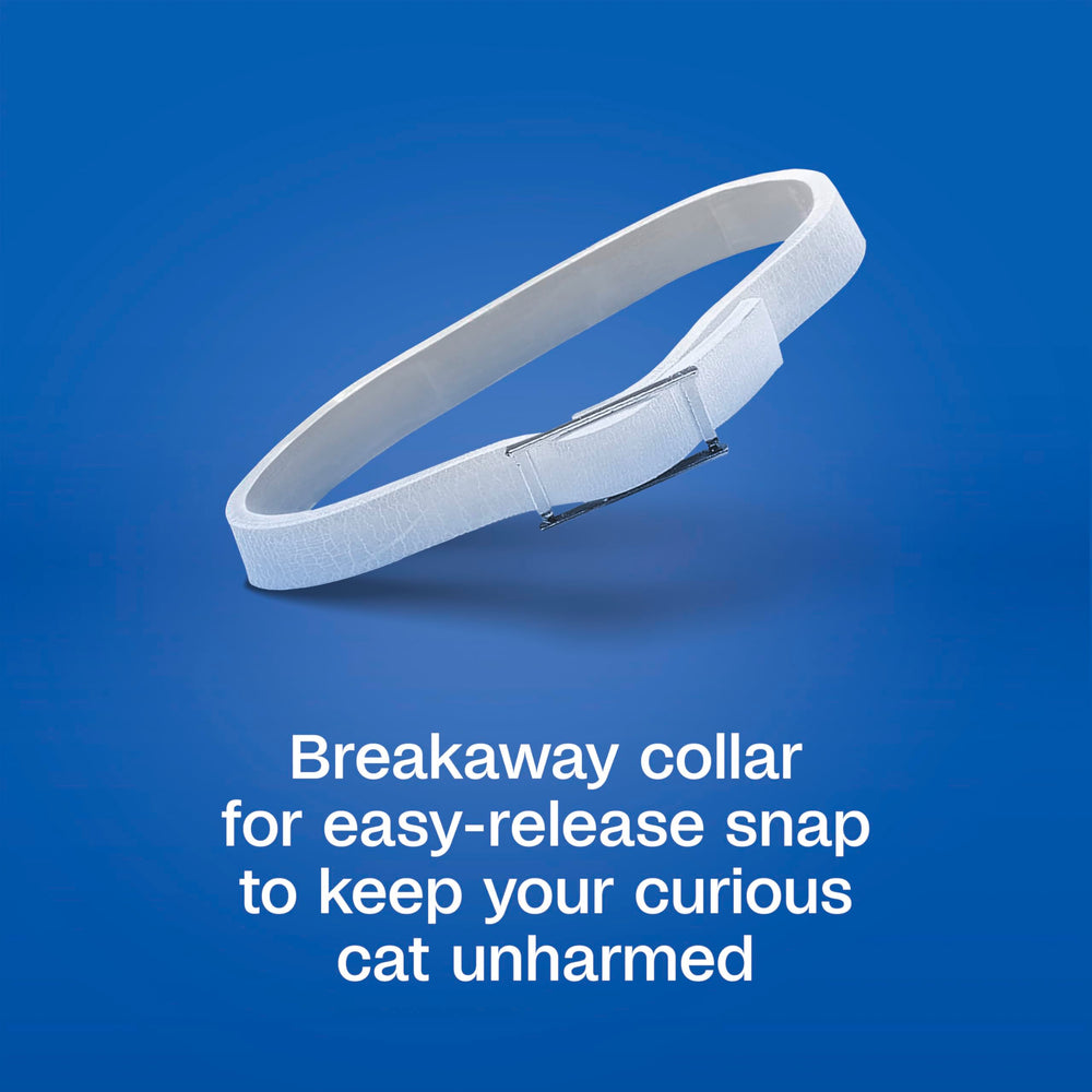 ADAMS Plus collar con cierre de seguridad para gatos y gatitos.