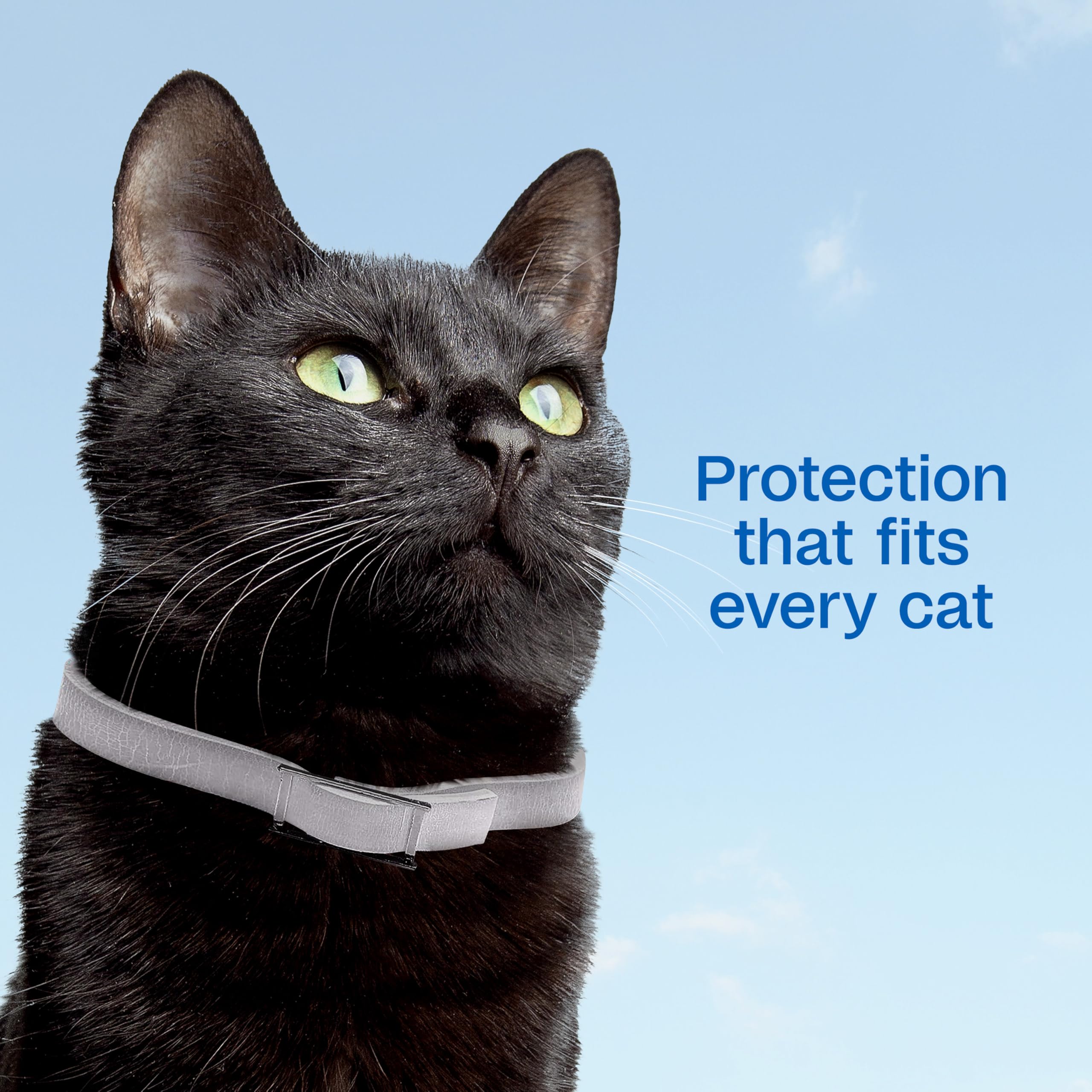 ADAMS Plus collar para gatos, protección de hasta 7 meses por collar.