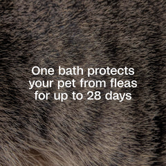 ADAMS Plus Precor IGR label close-up highlights flea life-cycle protection