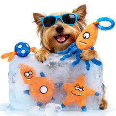ADDPETS juguetes congelados para cachorros, 4-pack, ocupan durante la dentición
