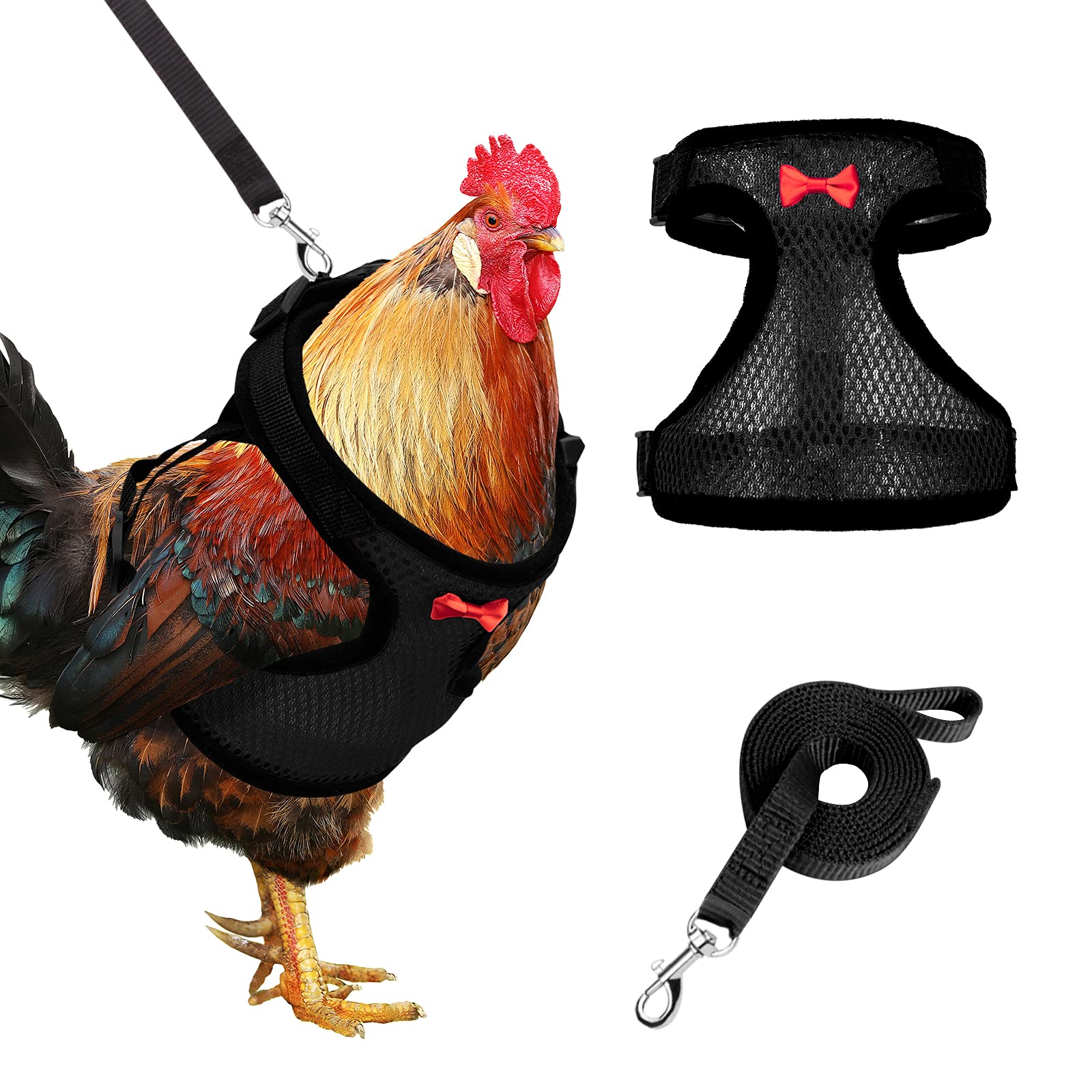 Arnés Adhafera para gallina con ajuste doble, cómodo y seguro para paseos.