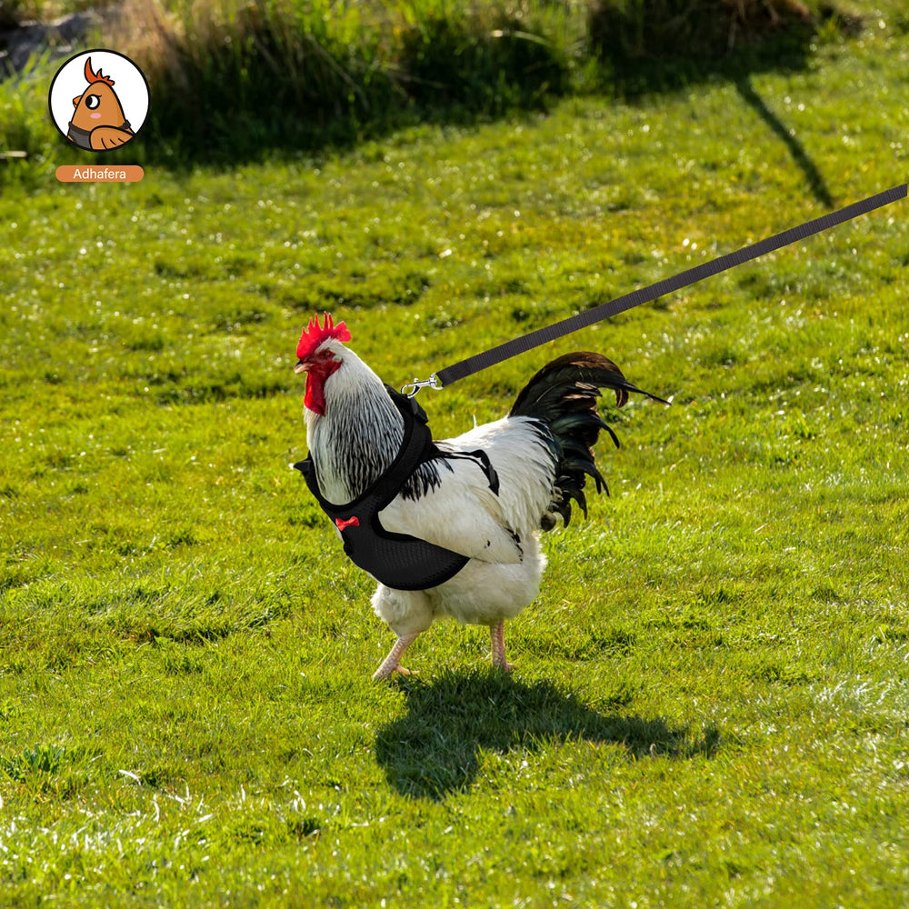 Arnés Adhafera multiespecie para gallina, patos y gansos, uso al aire libre.