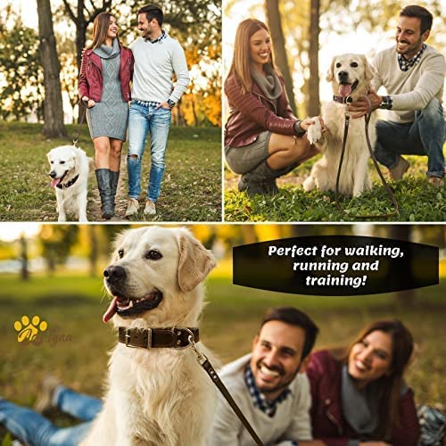Diseño de uso doble para mantener al perro cerca.