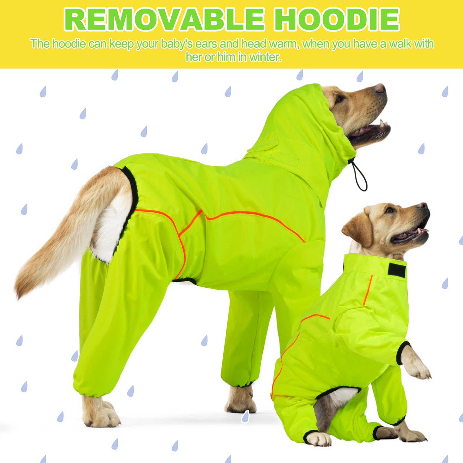 ADNIKIA ideal para lluvia y nieve durante paseos con perro.