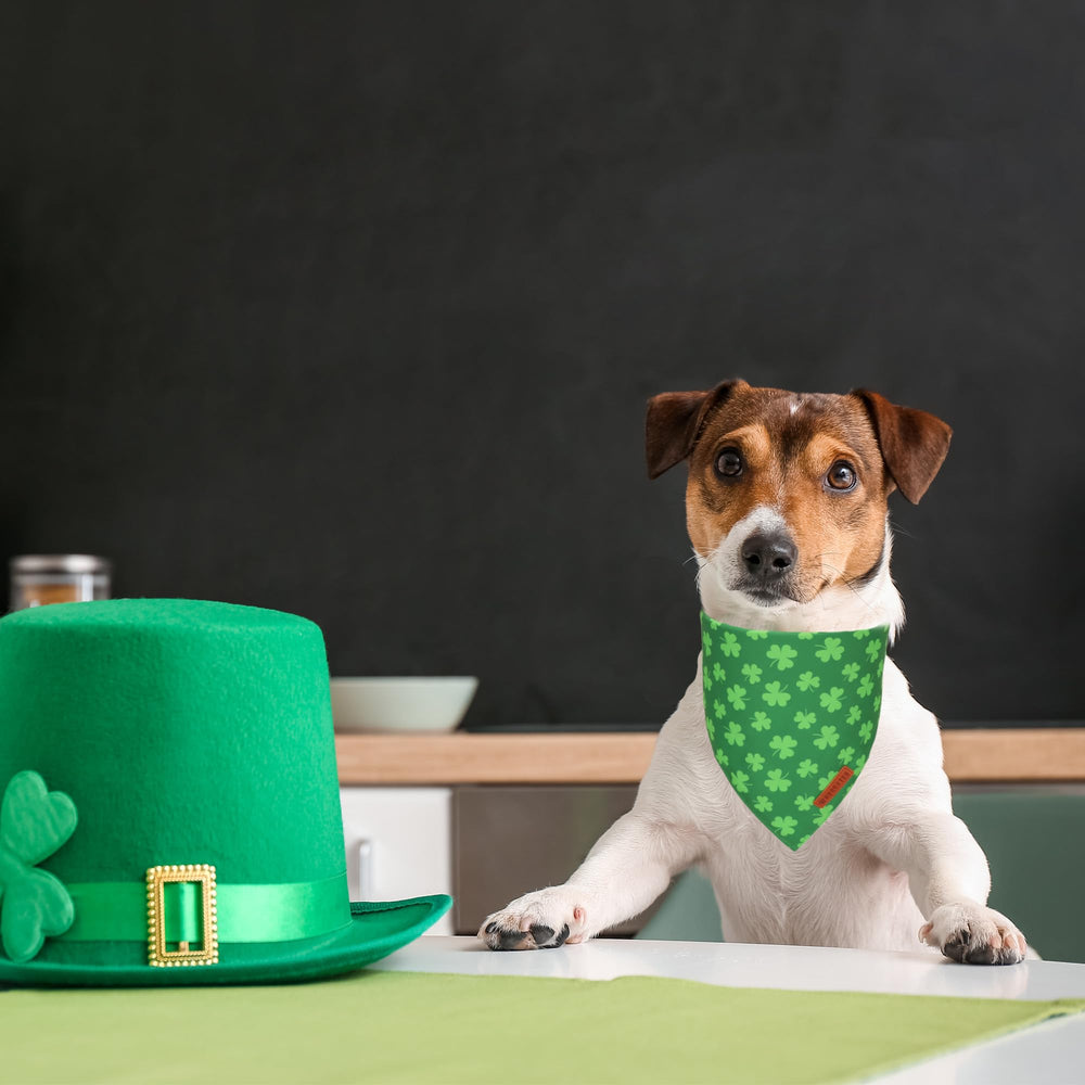 ADOGGYGO Bandana Ajustada al cuello, cómodo y seguro para perros medianos.