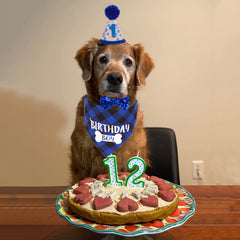 Bandana azul a cuadros de ADOGGYGO para cumpleaños canino, cómoda y elegante.