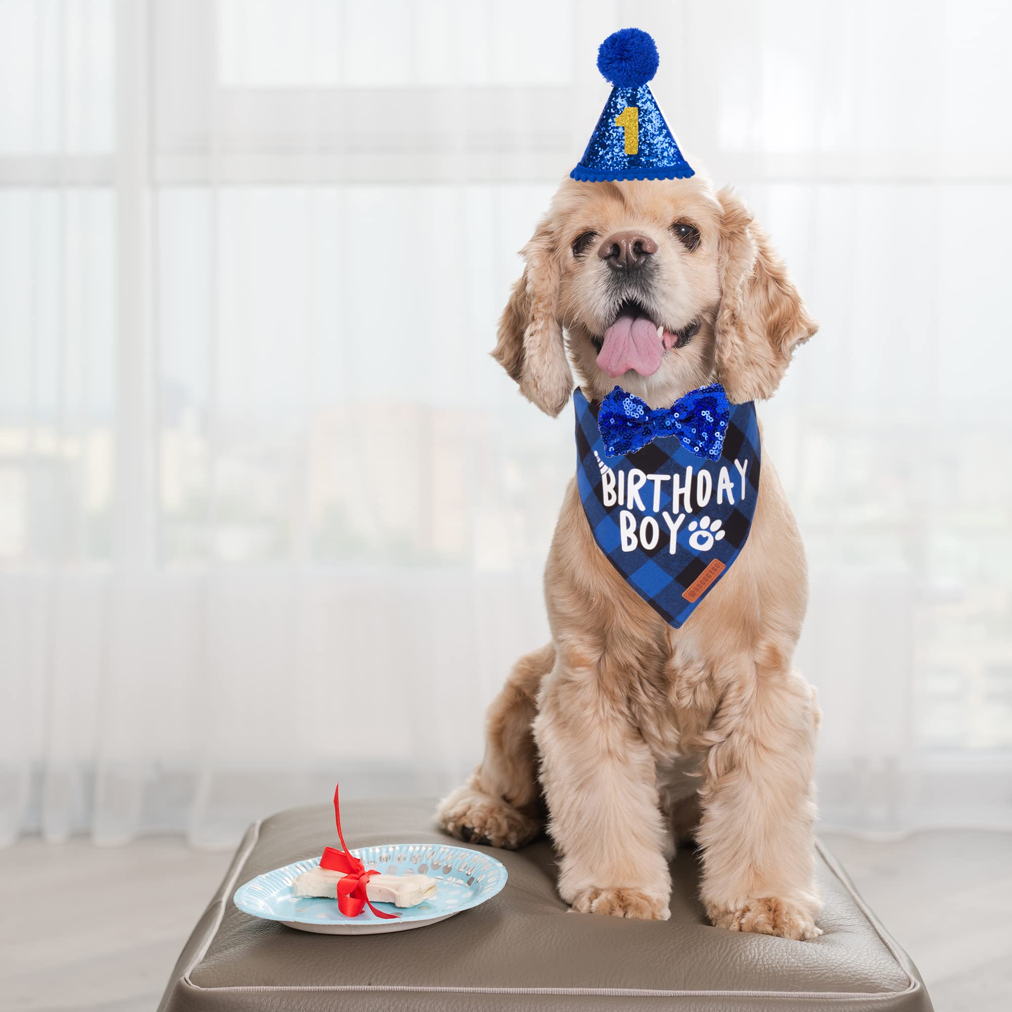 Bandana azul ADOGGYGO para cumpleaños, añade estilo y comodidad al perro.