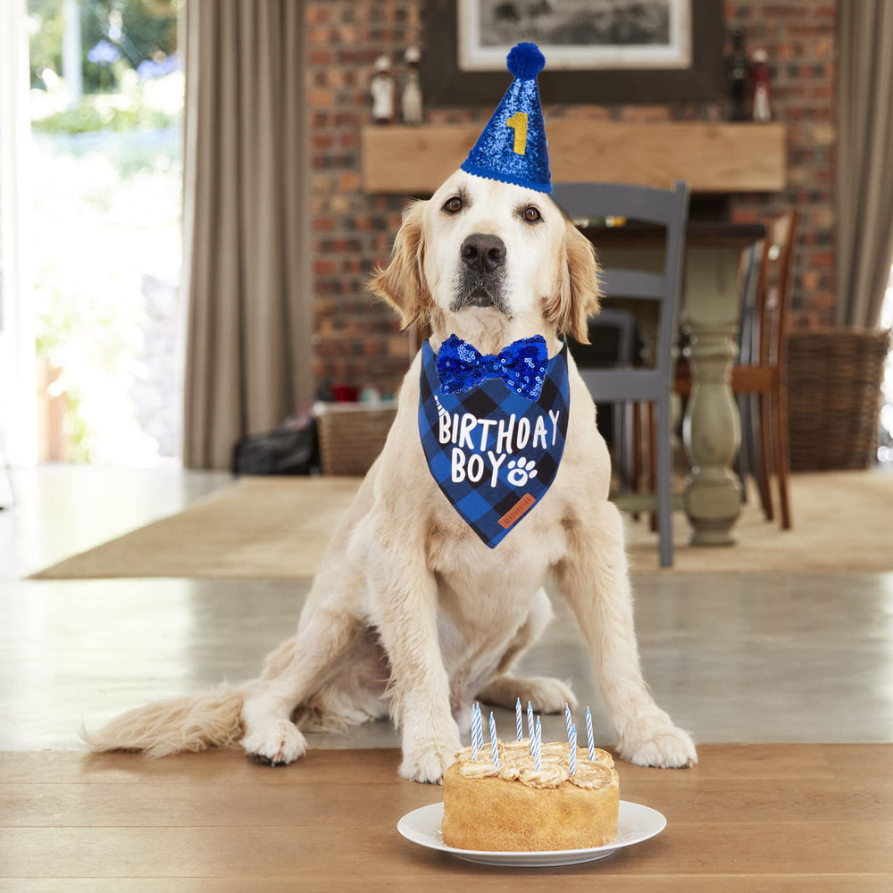 ADOGGYGO bandana de cumpleaños para perro azul, añade estilo y comodidad