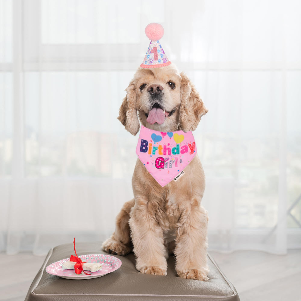 ADOGGYGO bandana de cumpleaños para perros, suave y cómoda