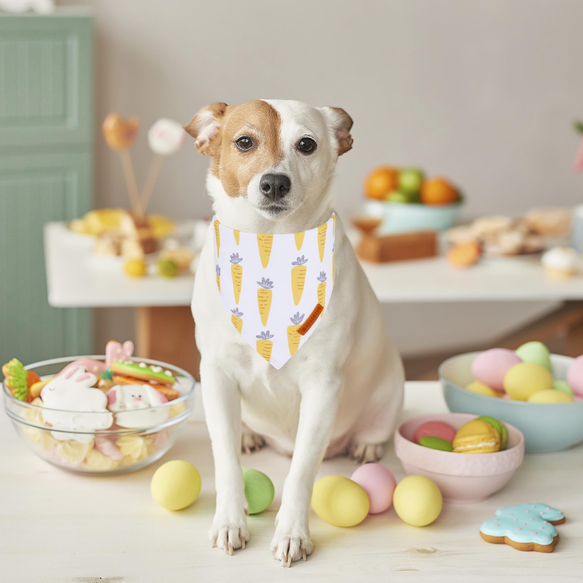 ADOGGYGO Bandana de Pascua con diseños de huevos para salidas.