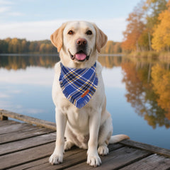 ADOGGYGO bandana de doble capa azul para aventuras duraderas