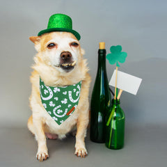 Bandana para perro ADOGGYGO verde con trébol, perfecta para celebraciones de San Patricio.