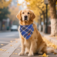 ADOGGYGO bandana XL para perros grandes, ajuste cómodo