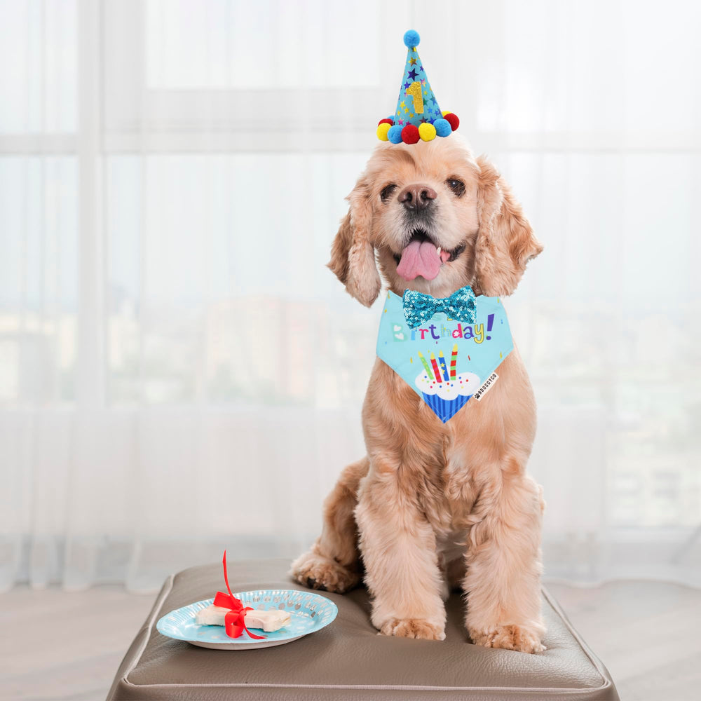 ADOGGYGO chapeau anniversaire chien bleu avec pompons, ajustable et facile à porter.
