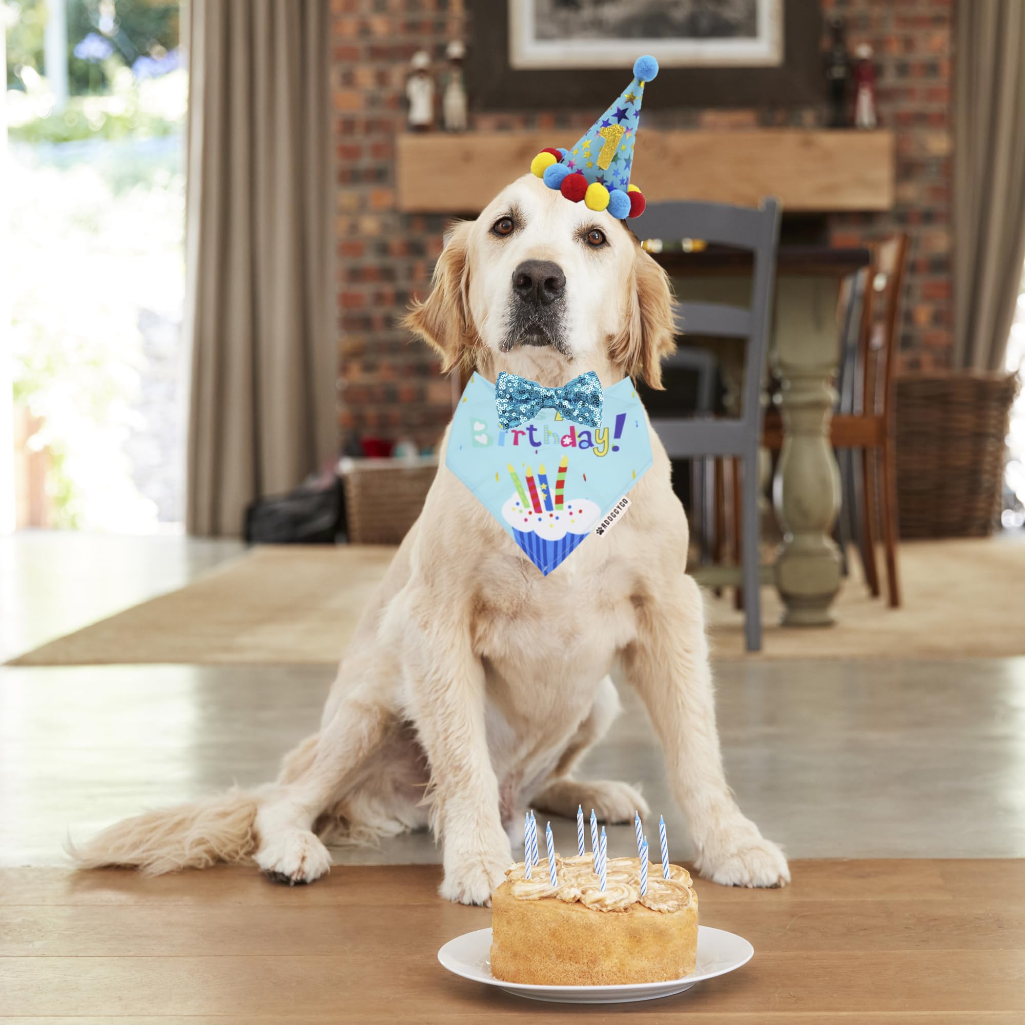 Chapeau anniversaire ADOGGYGO bleu avec pompons, ajustement facile.