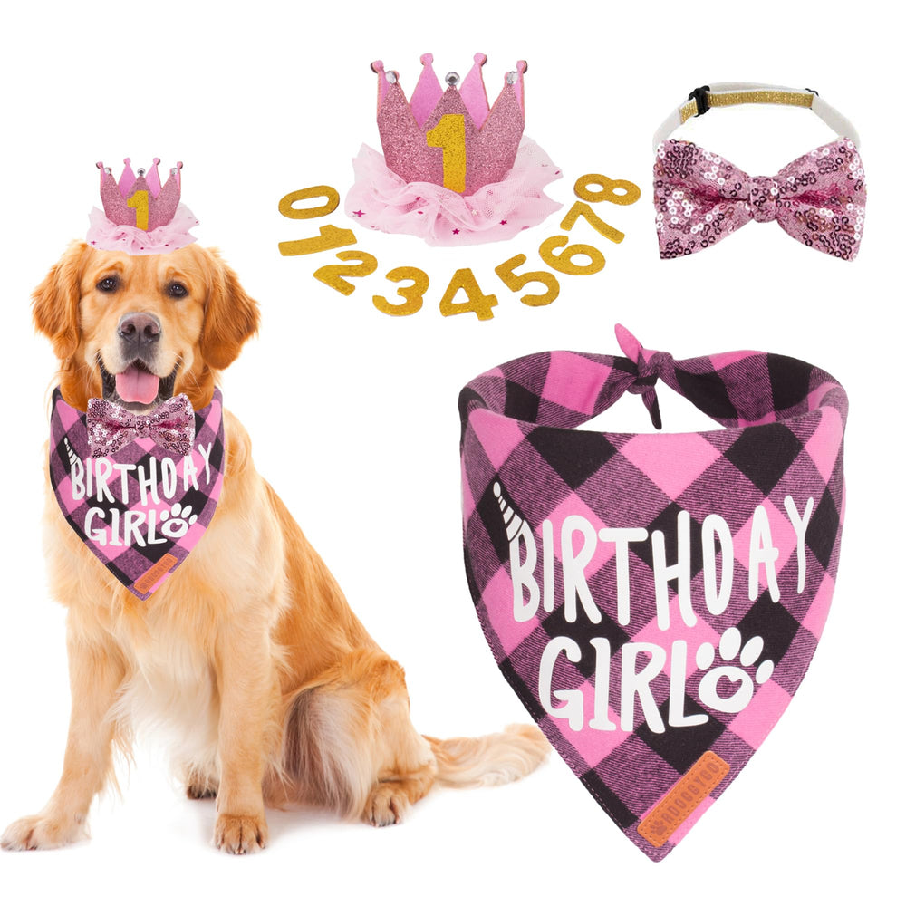 ADOGGYGO chapeau-couronne anniversaire rose pour chien, parfait pour photo souvenir.