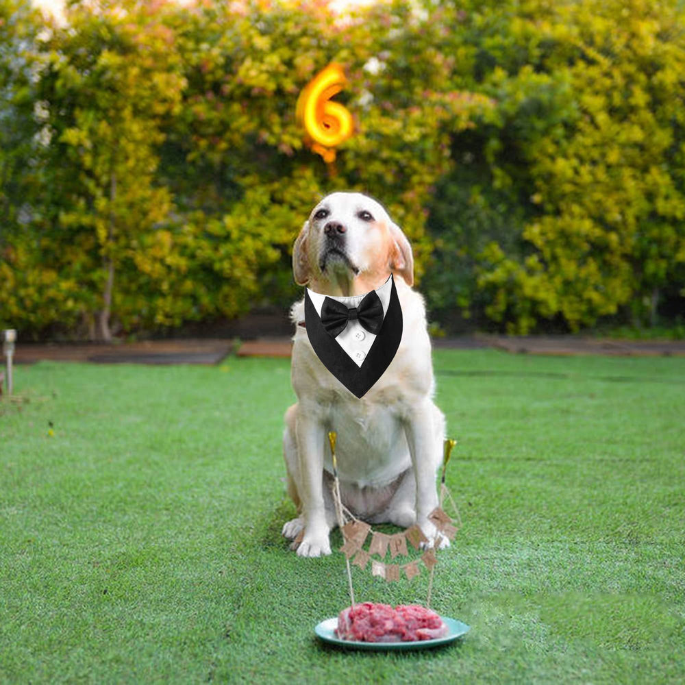 ADOGGYGO fermeture auto-agrippante pratique, facile à mettre et retirer pour votre chien.
