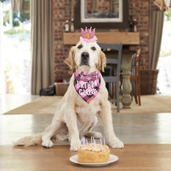 Couronne bling rose ADOGGYGO pour chien, apporte glamour festif.