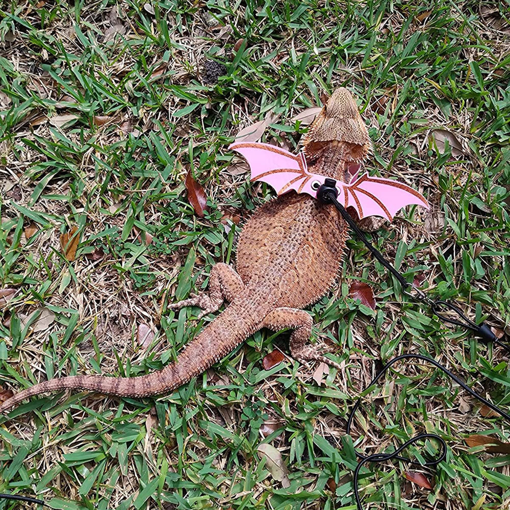 ADOGGYGO correa para dragón barbudo rosada desmontable, ofrece control cómodo