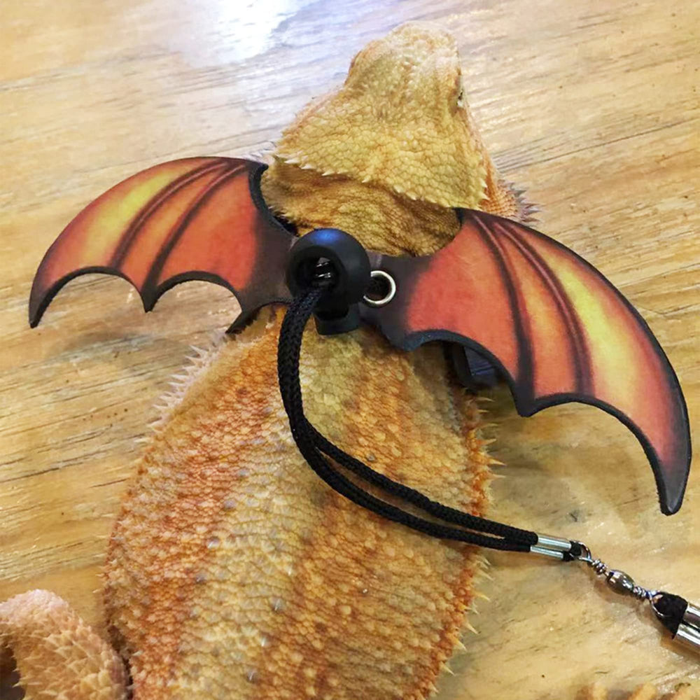 ARNES-CUERO-SUAVE de ADOGGYGO: comodidad durante paseos para dragon barbudo.