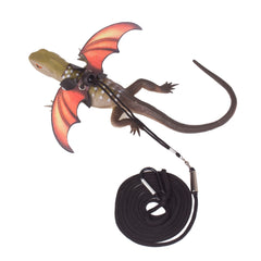 ARNES-DRAGON-BARBUDO-EXTERIOR: uso diario al aire libre con ADOGGYGO.