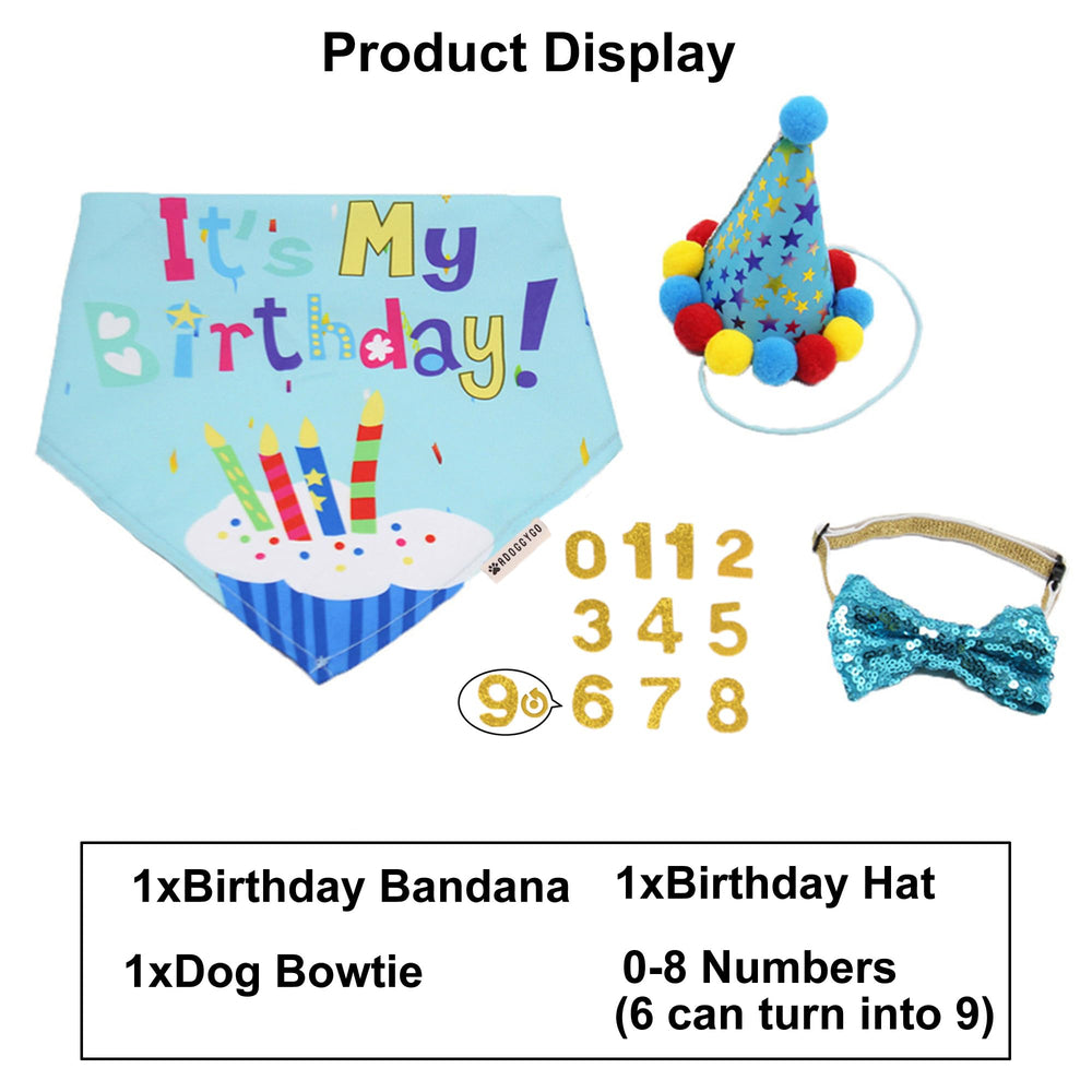 Kit fête ADOGGYGO pour chien extragrande, mise en place rapide.
