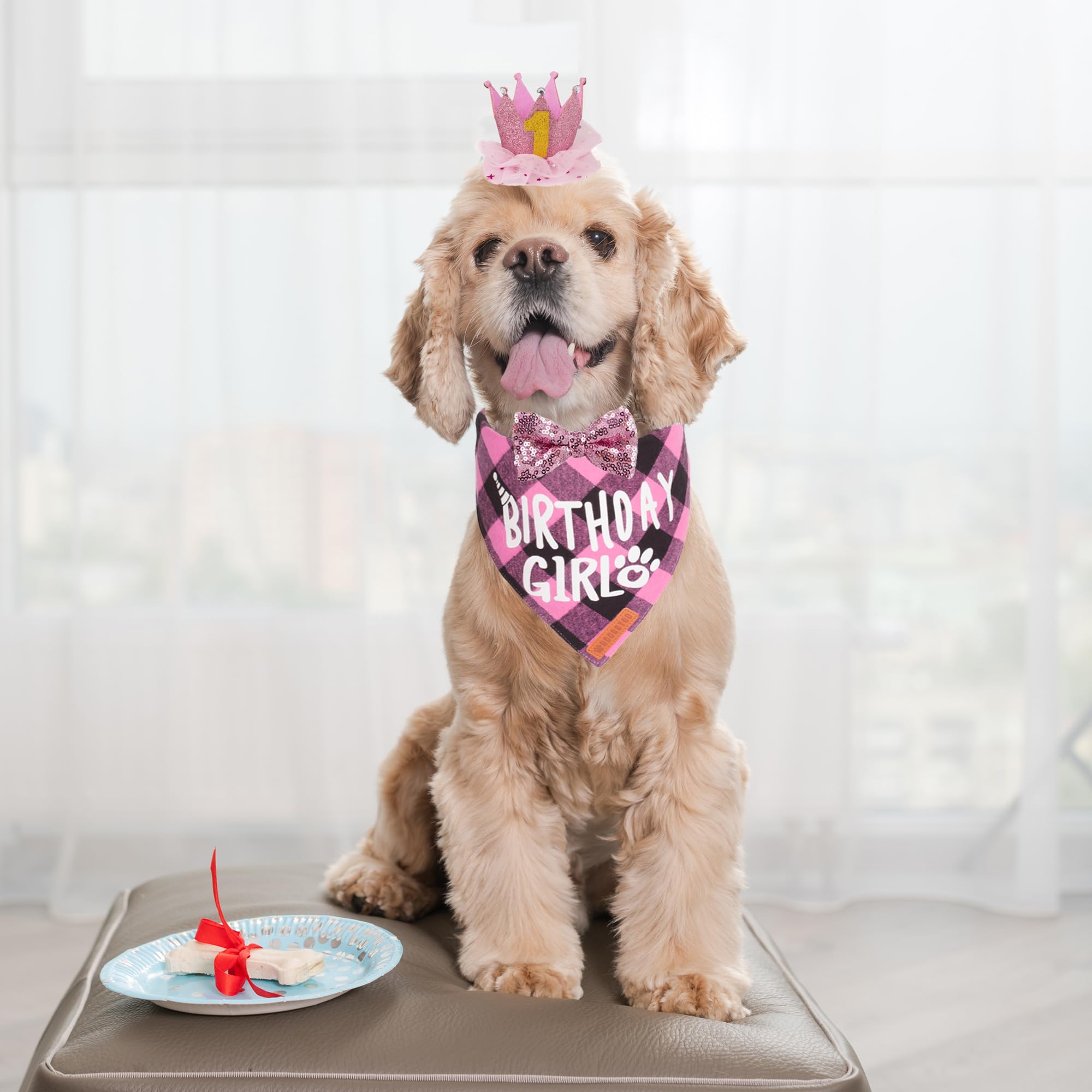ADOGGYGO chiffres anniversaire chien 0-8 pour marquer l'âge avec style.