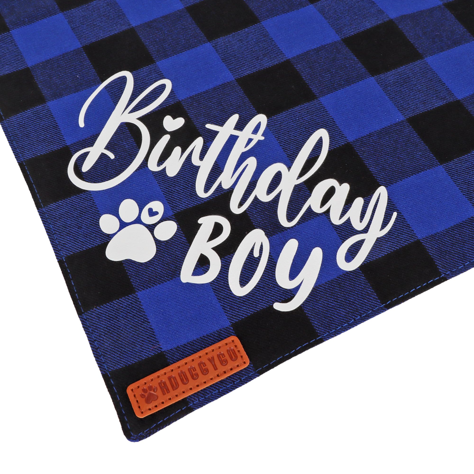 ADOGGYGO Perro en escena con conjunto de cumpleaños listo para fotos