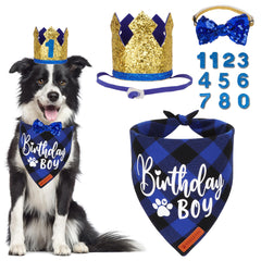 ADOGGYGO sombrero de cumpleaños para perro oro, ideal para sesiones de fotos.