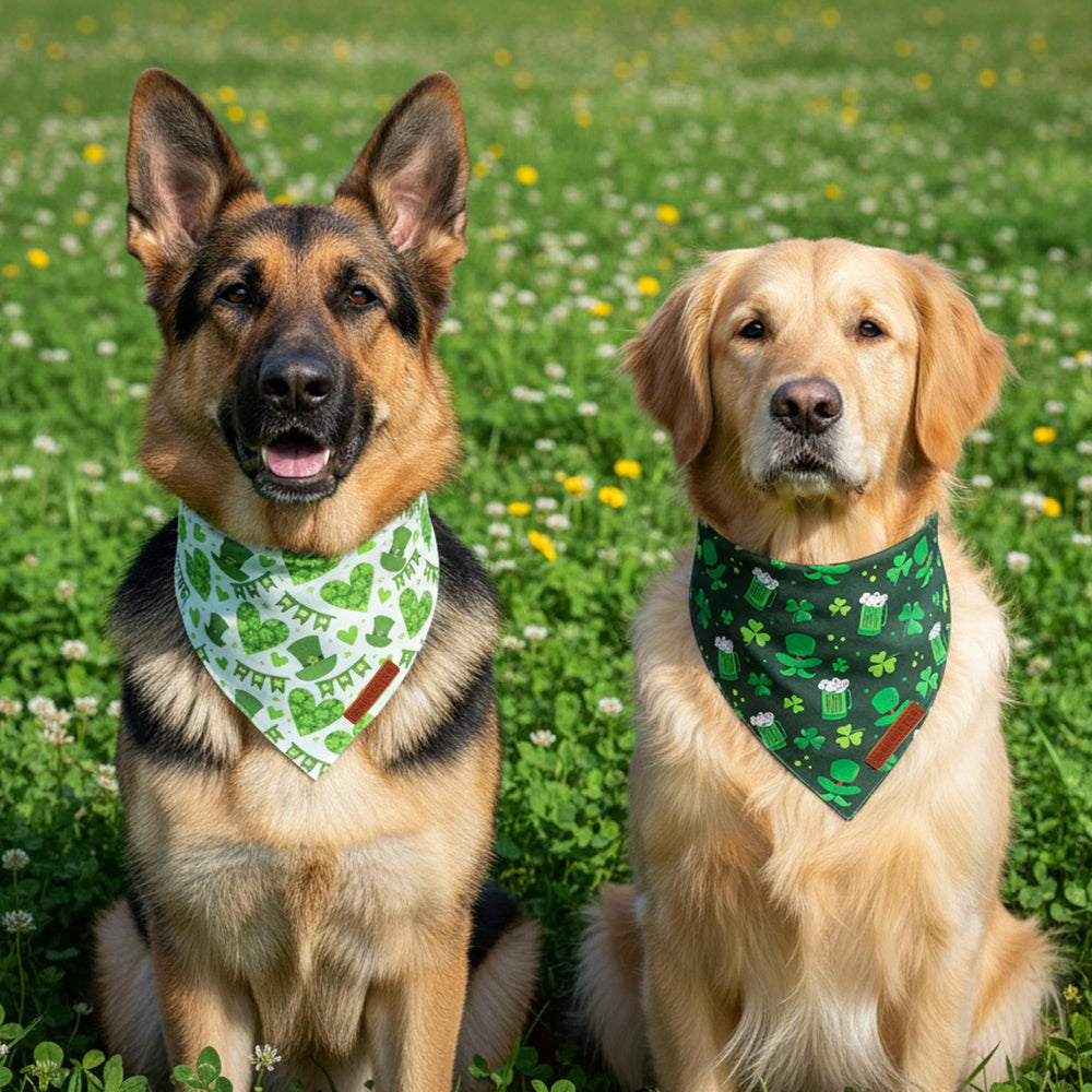 ADOGGYGO Bandana de poliéster suave, duradera para paseos y fiestas