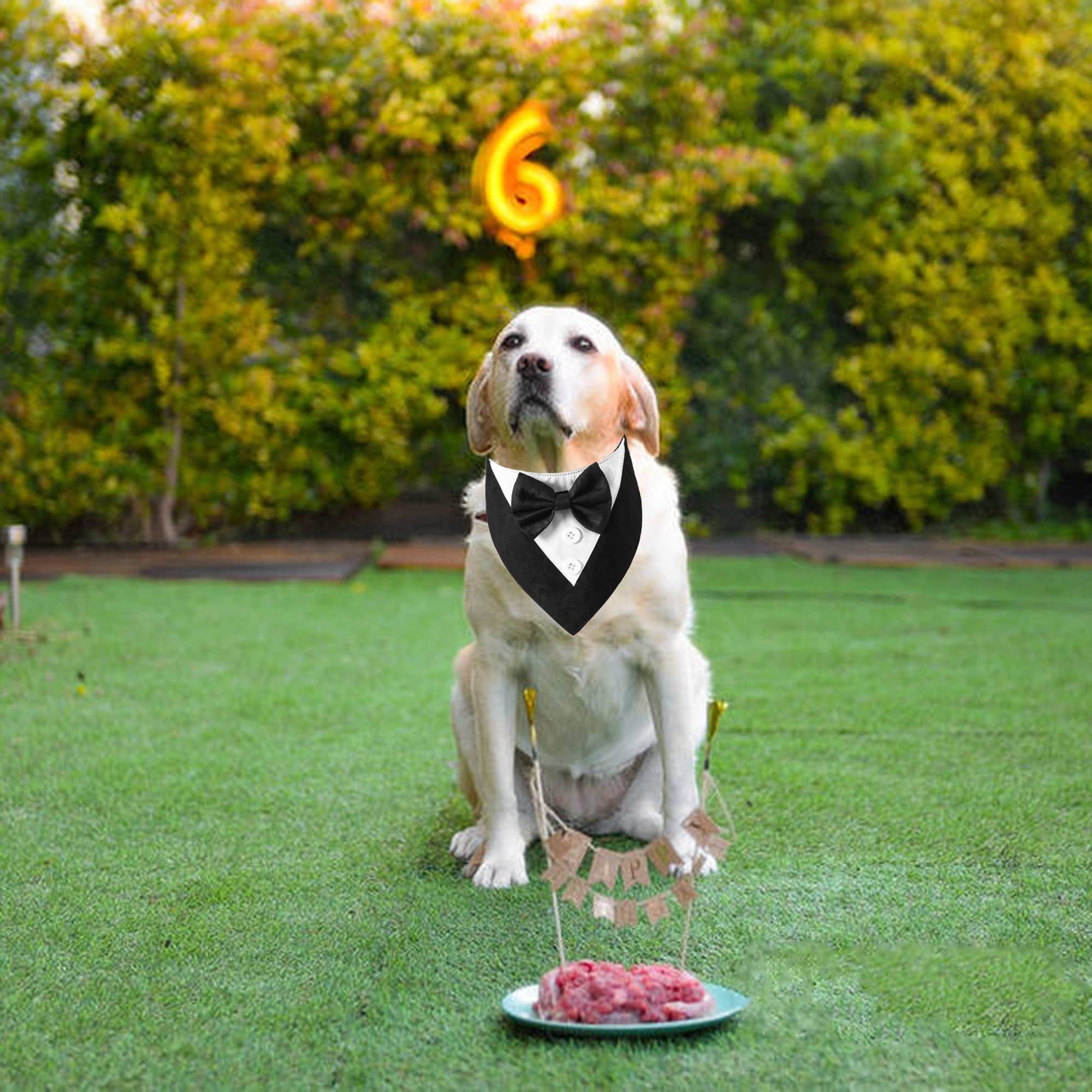ADOGGYGO Tuxedo Chien Noir – fermeture Velcro rapide pour enfiler sans stress