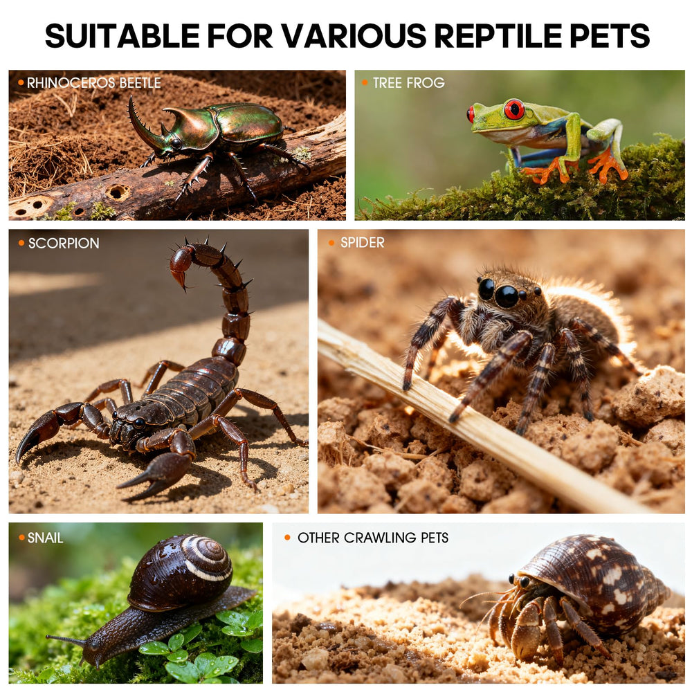 Apto para arañas, insectos, geckos y mantis; ventilación adecuada y acceso seguro.