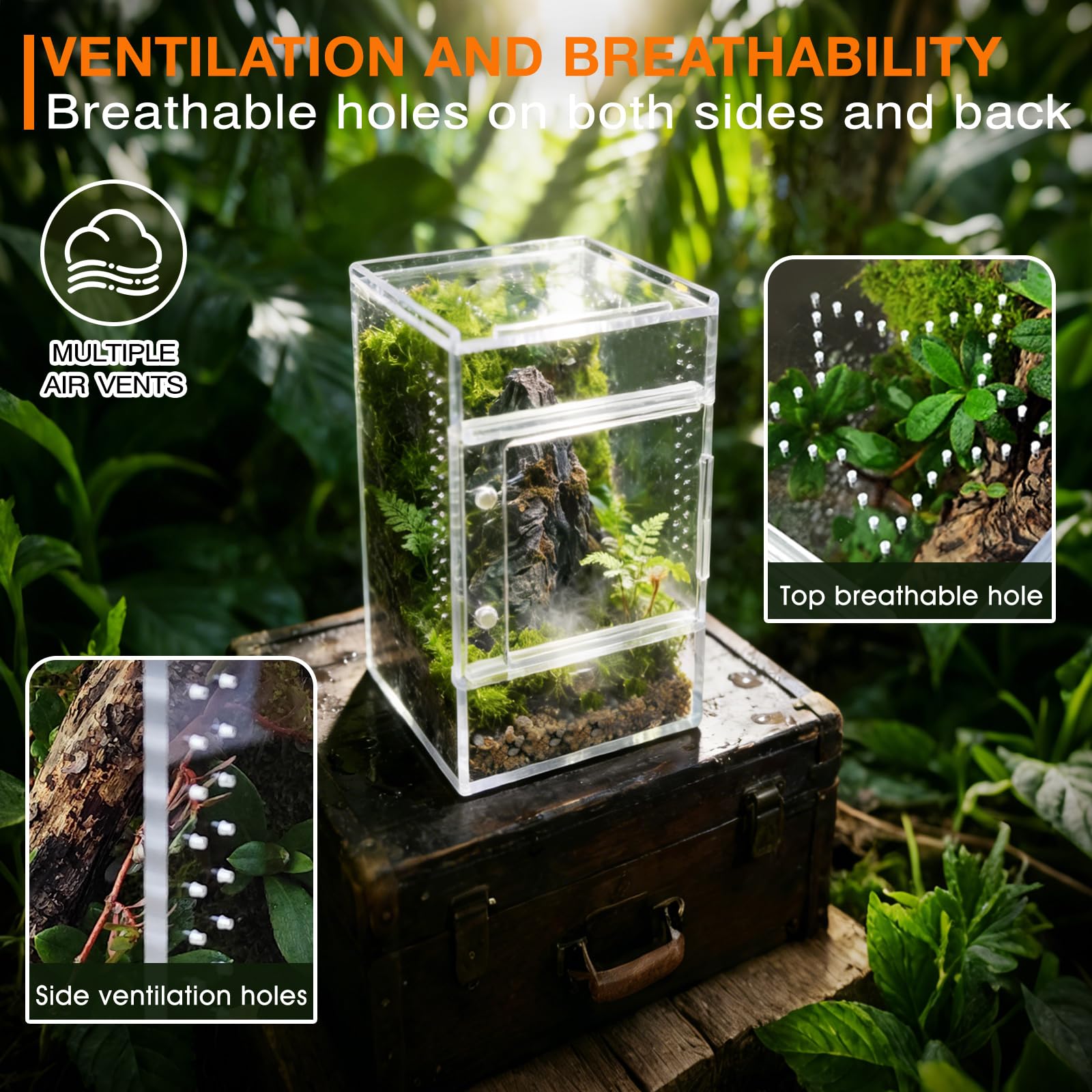Adoture Terra: terrario compacto para mantis y otras mini criaturas.