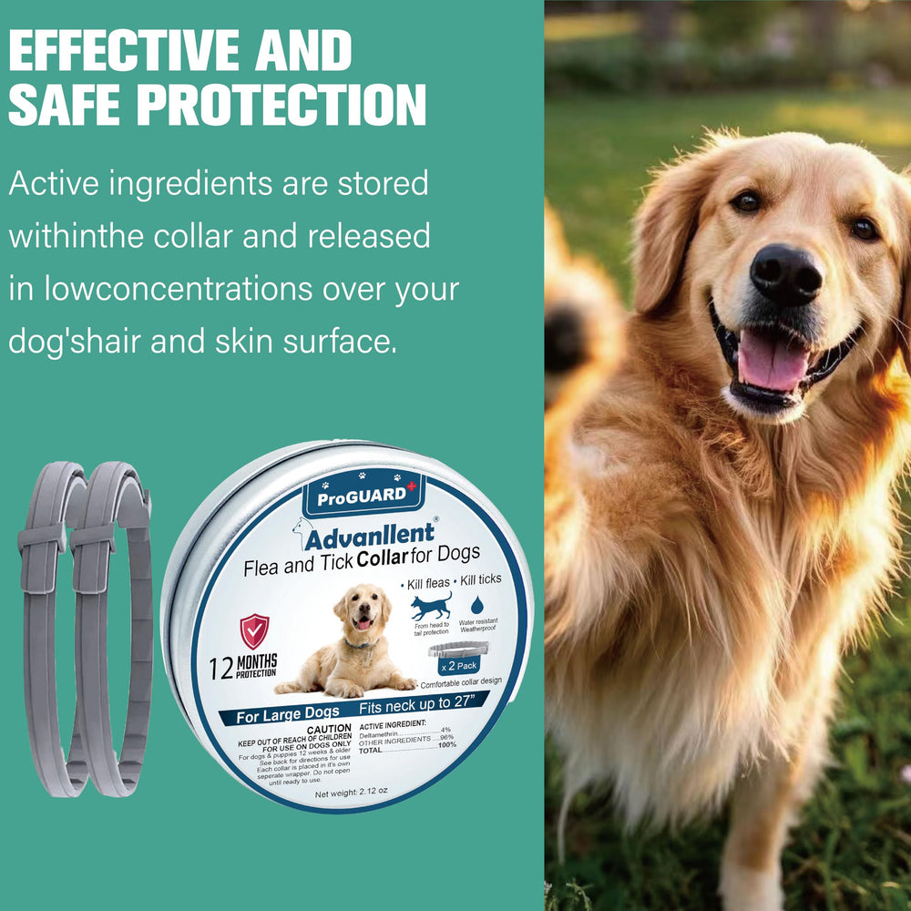 Protección de 12 meses con collar Advanllent para perros.