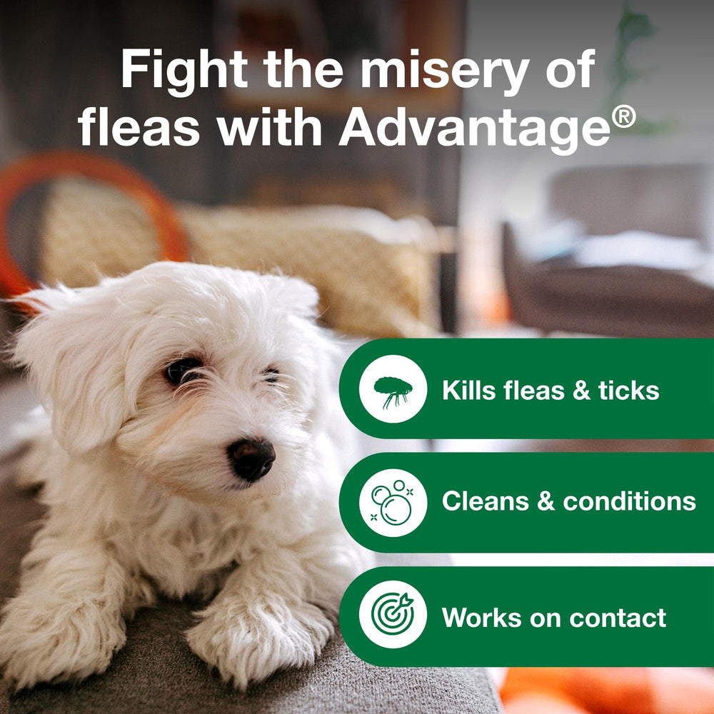 Cachorros con Advantage champú, cuidado semanal del pelaje