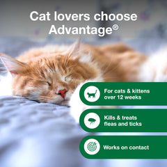 Espuma suave de Advantage cubre todo el pelaje del gato.