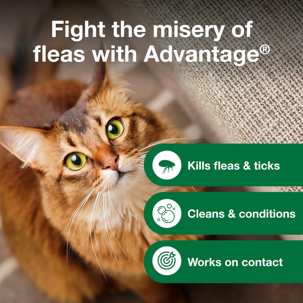 Ahorro con suscripción de champú Advantage para gatos.