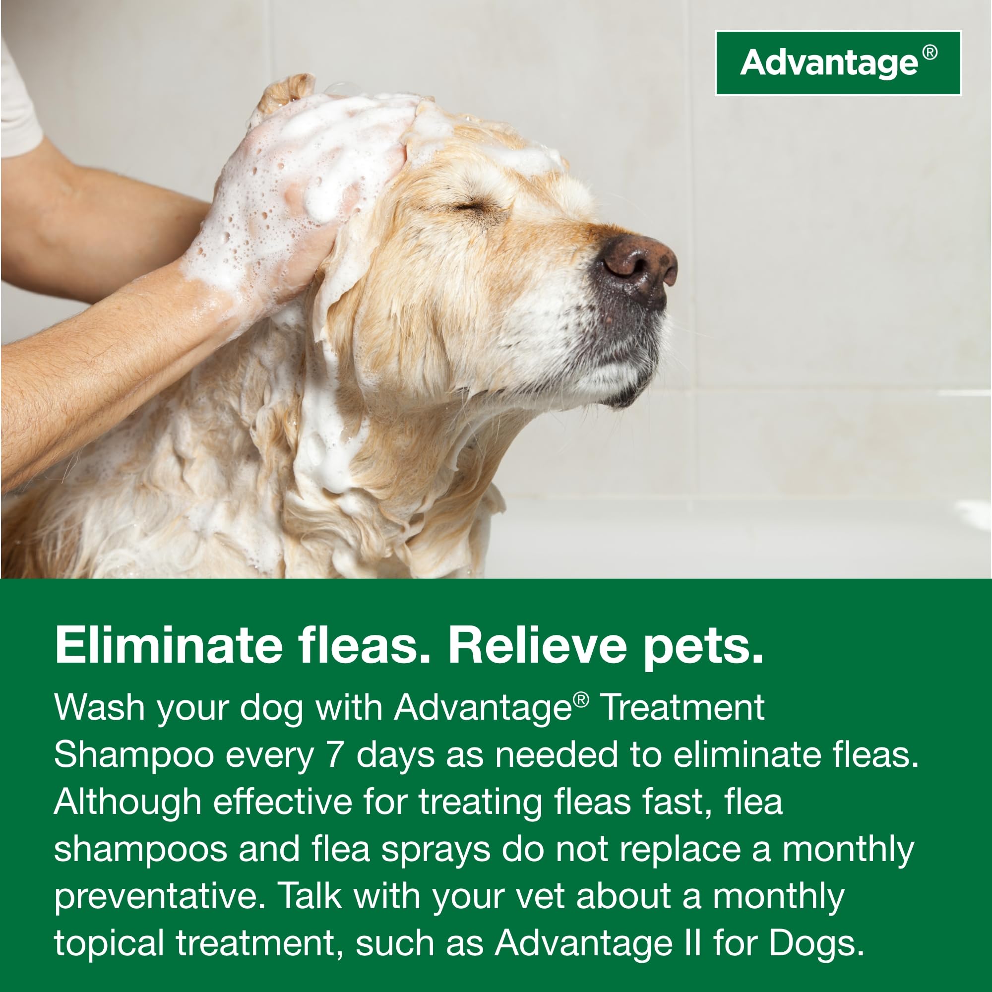 Programa completo de tratamiento con Advantage champú para pulgas