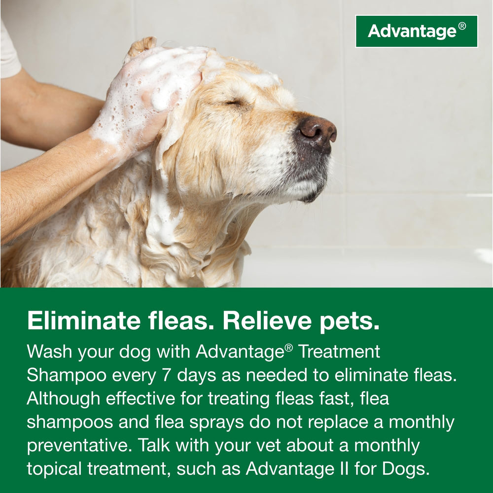 Programa completo de tratamiento con Advantage champú para pulgas