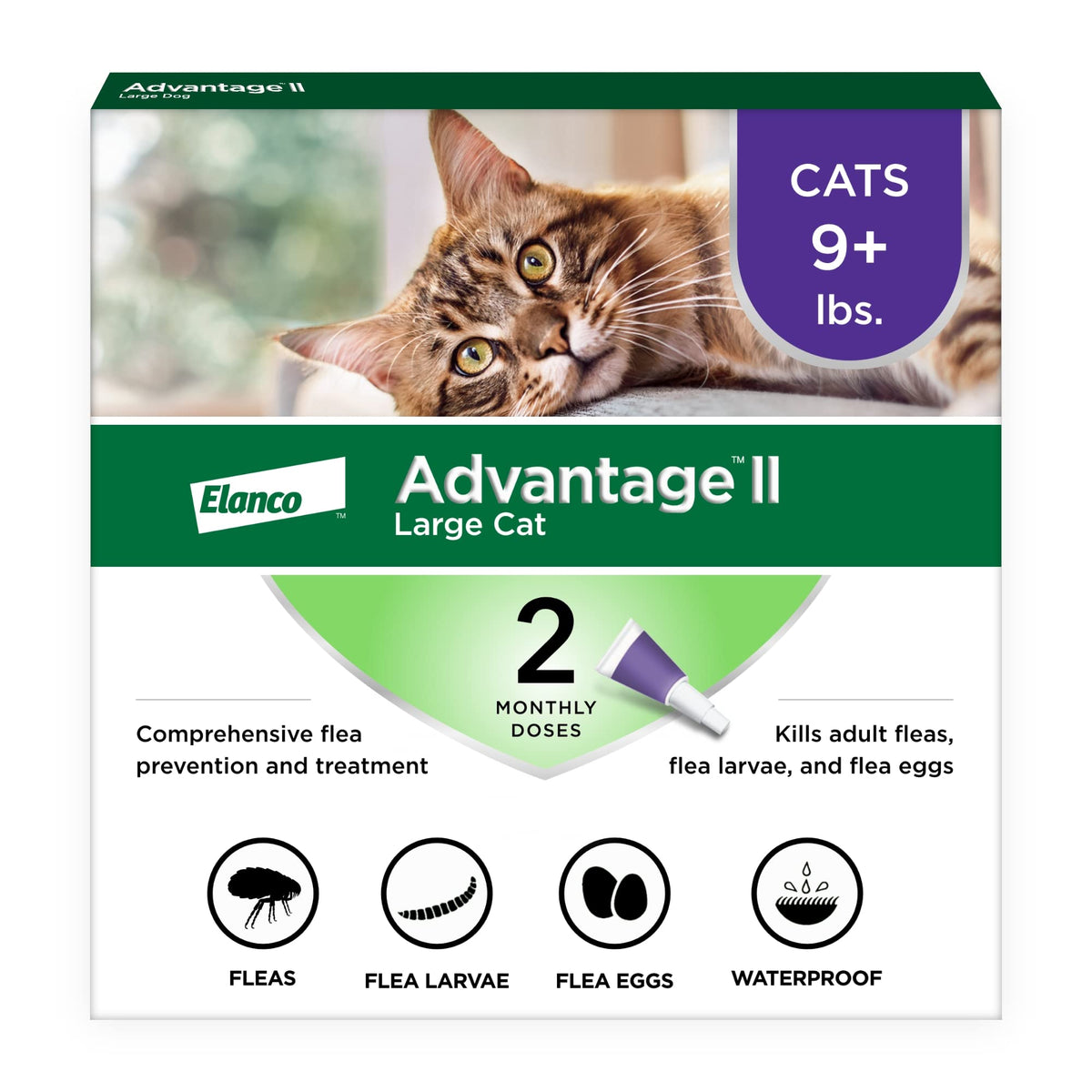 Advantage II Gato Grande: aplicación en la nuca para protección de pulgas.