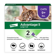 Advantage II Gato Grande: aplicación en la nuca para protección de pulgas.
