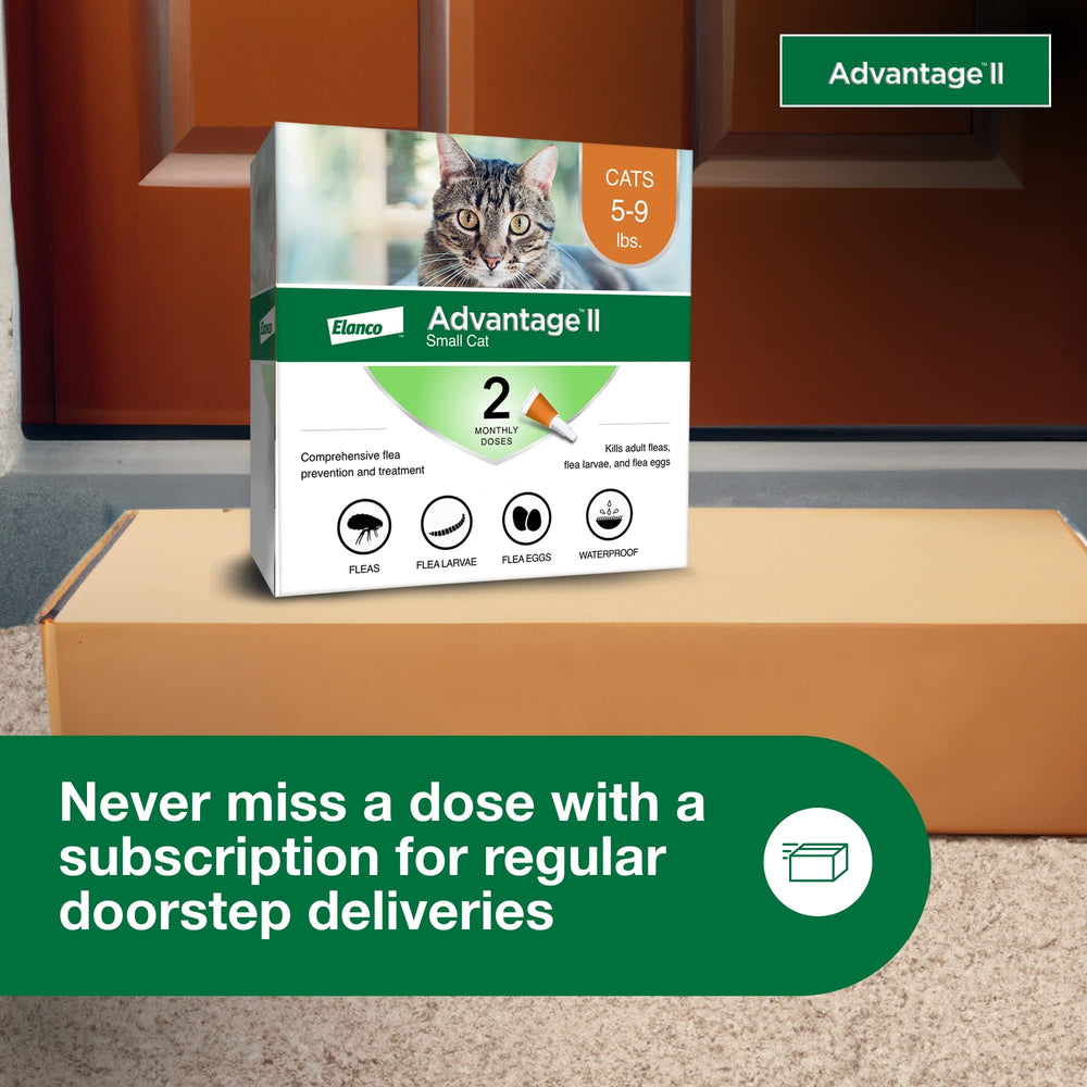 Advantage II Gato Pequeño: fórmula sin fragancia para gatos sensibles.