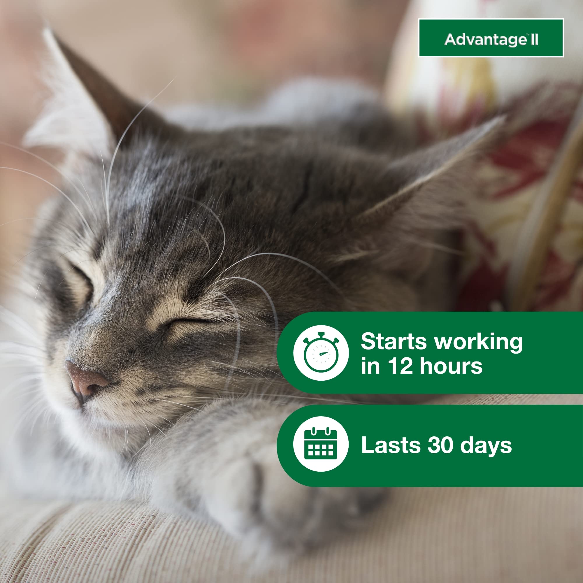 Fórmula libre de fragancia de Advantage II para gatos pequeños.