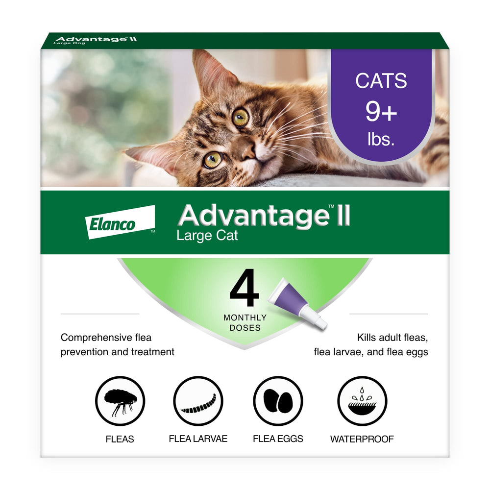 Advantage II Large Cat: aplicación en nuca para tratamiento cómodo.