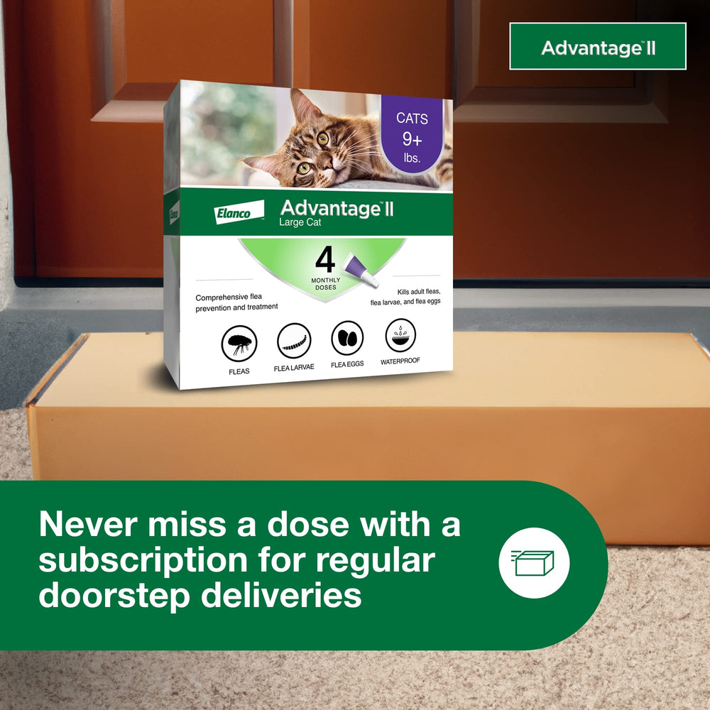 Advantage II Large Cat: eficaz contra pulgas y larvas.