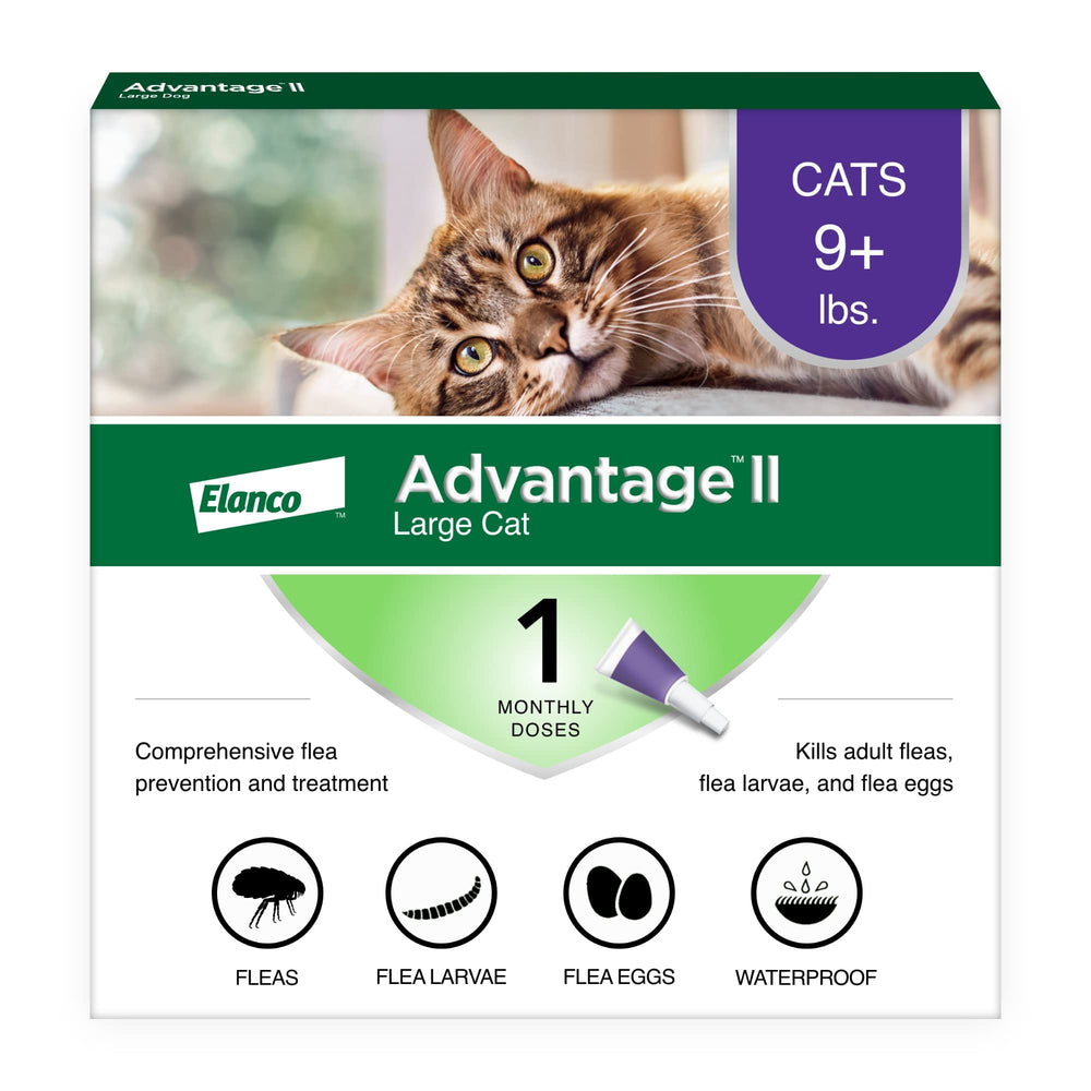 Advantage II Large Cat, base del cuello: aplicación rápida y cómoda para gatos grandes.